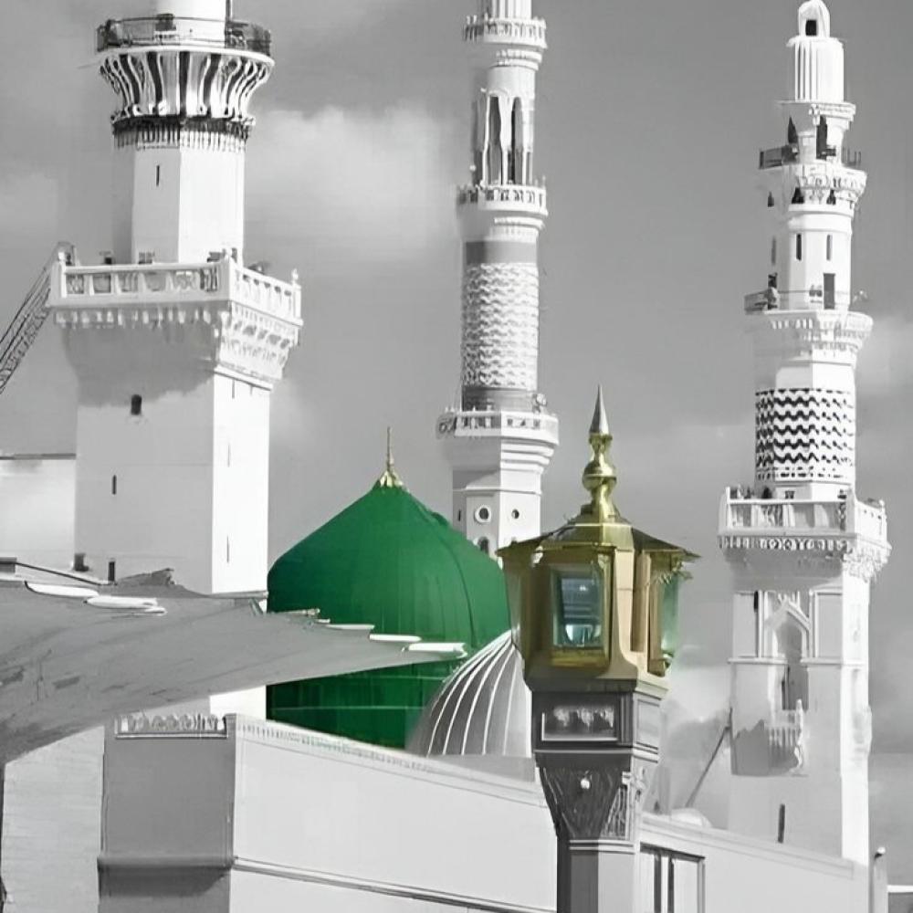 شركة جذور السياحة