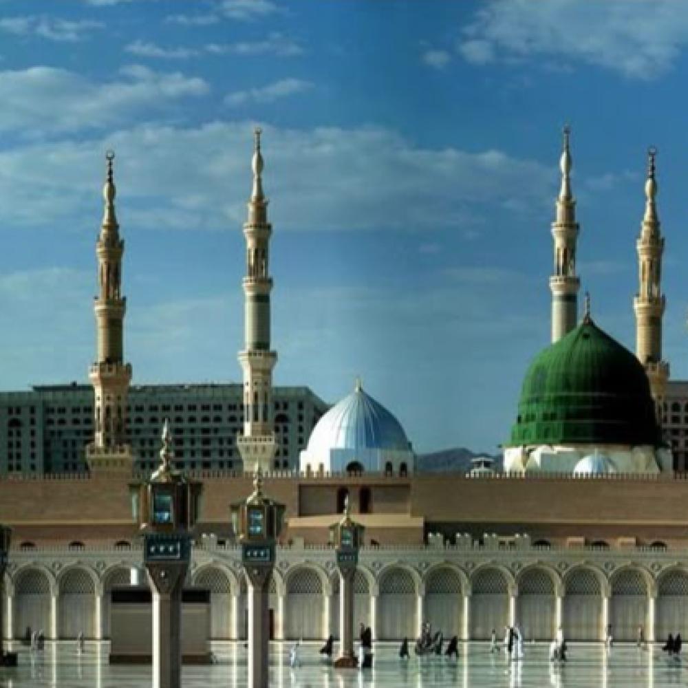 شركة جذور السياحة