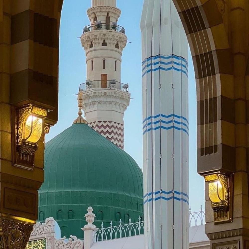 شركة جذور السياحة