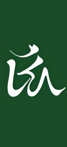 store avatar