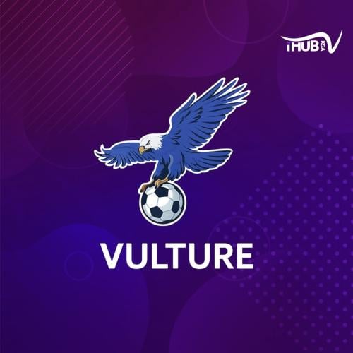 اشتراك فولتشر –شهر واحد