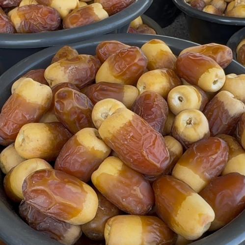 صقعي ملكي