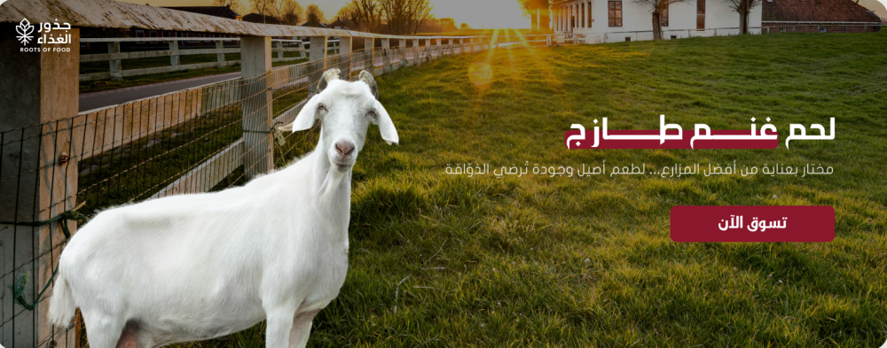 جذور الغذاء