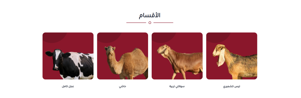 جذور الغذاء