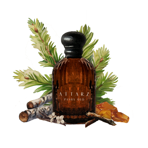 PASHA OUD
