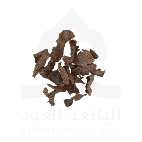عود فتنامي طبيعي دبل سوبر