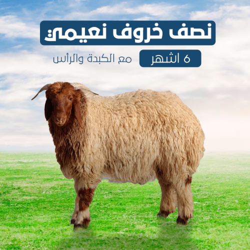 نصف خروف نعيمي 6 اشهر مع الكبدة والرأس