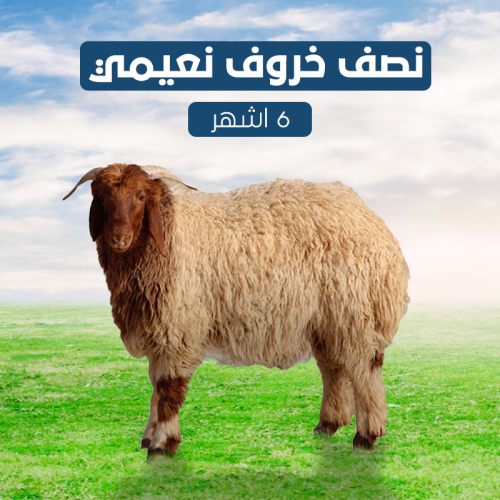 نصف خروف نعيمي 6 اشهر