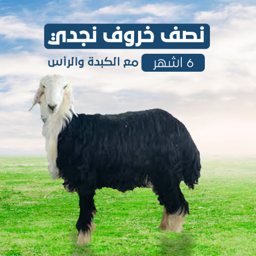 نصف خروف نجدي 6 اشهر مع الكبدة والرأس