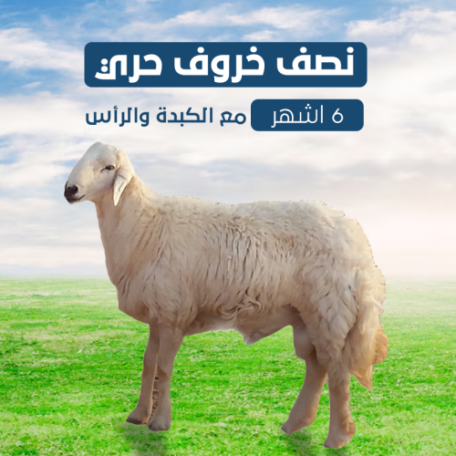 نصف خروف حري 6 شهور مع الكبدة و الرأس