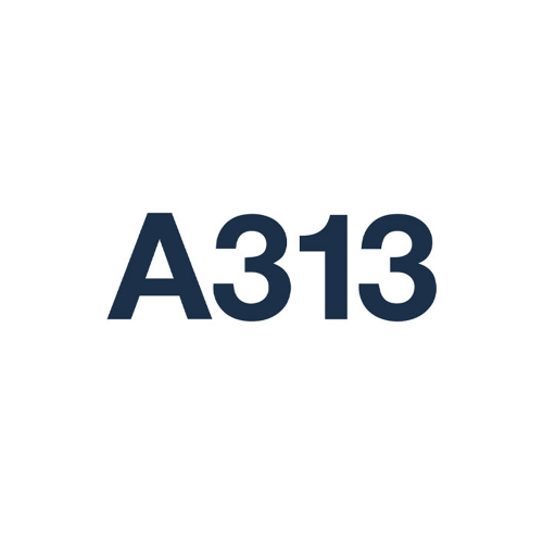 A313