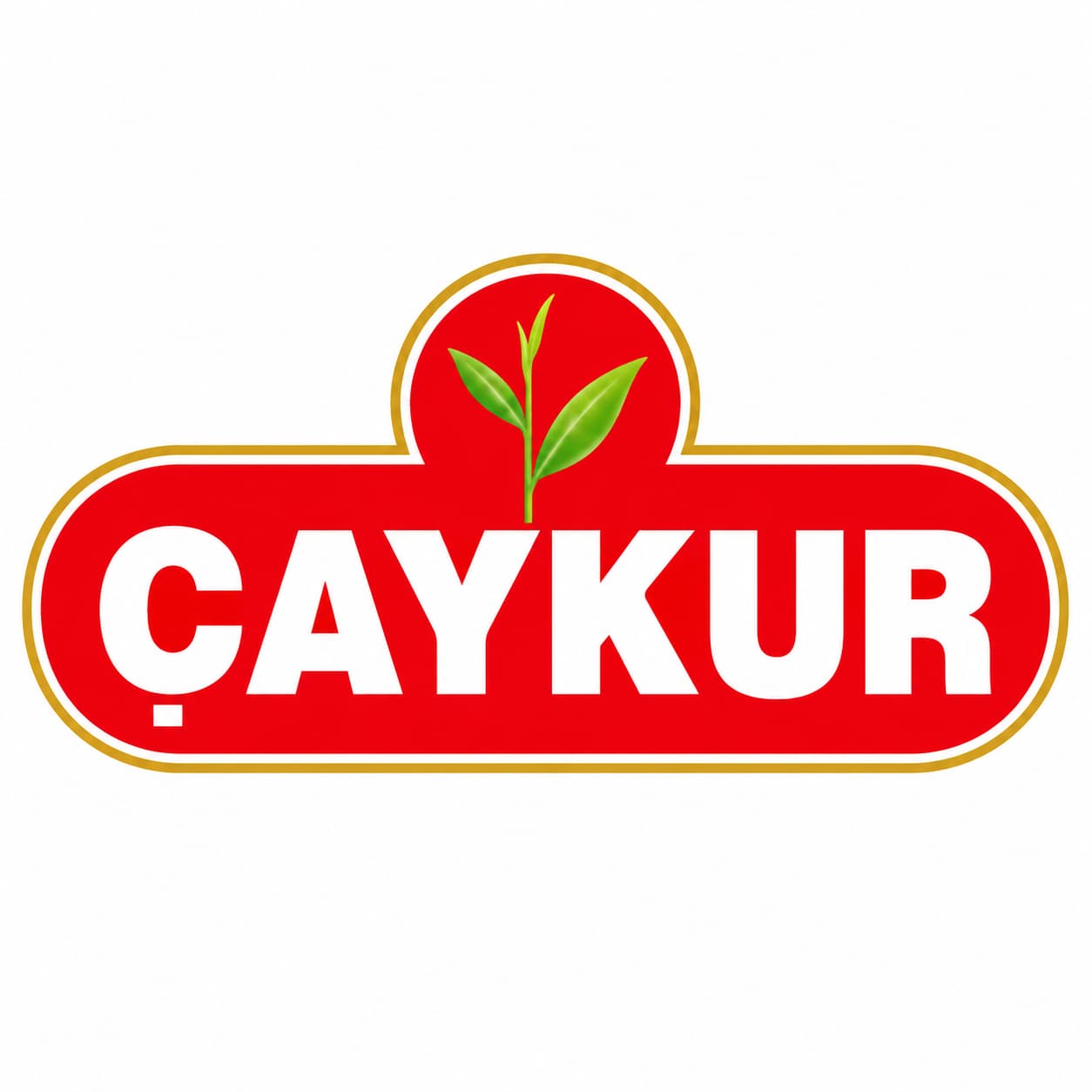 تشايكور | ÇAYKUR