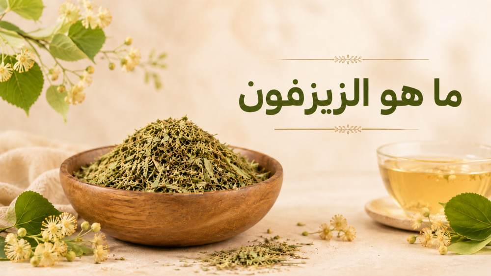 ما هو الزيزفون ومتى يُشرب؟