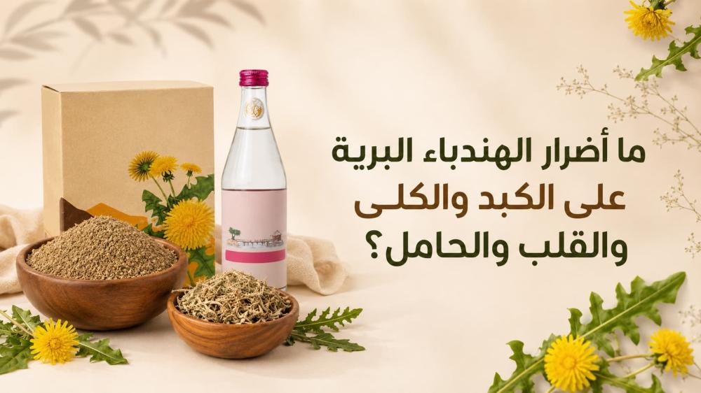 ما أضرار الهندباء البرية على الكبد والكلى والقلب والحامل؟