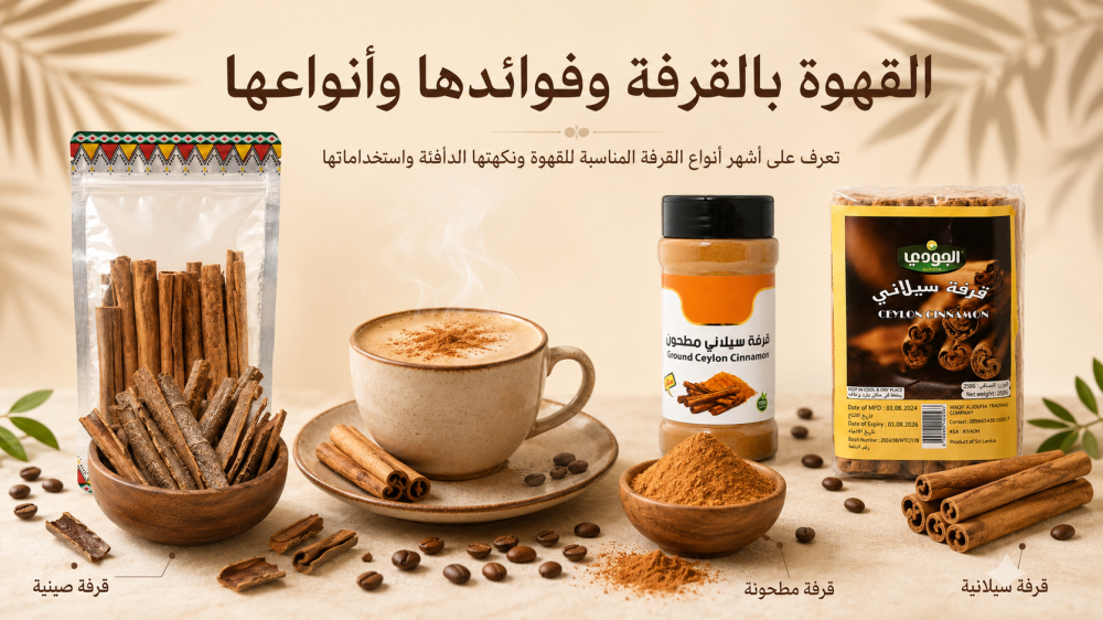 فوائد شرب القرفة يوميًا للرجال والنساء | الأضرار والمحاذير