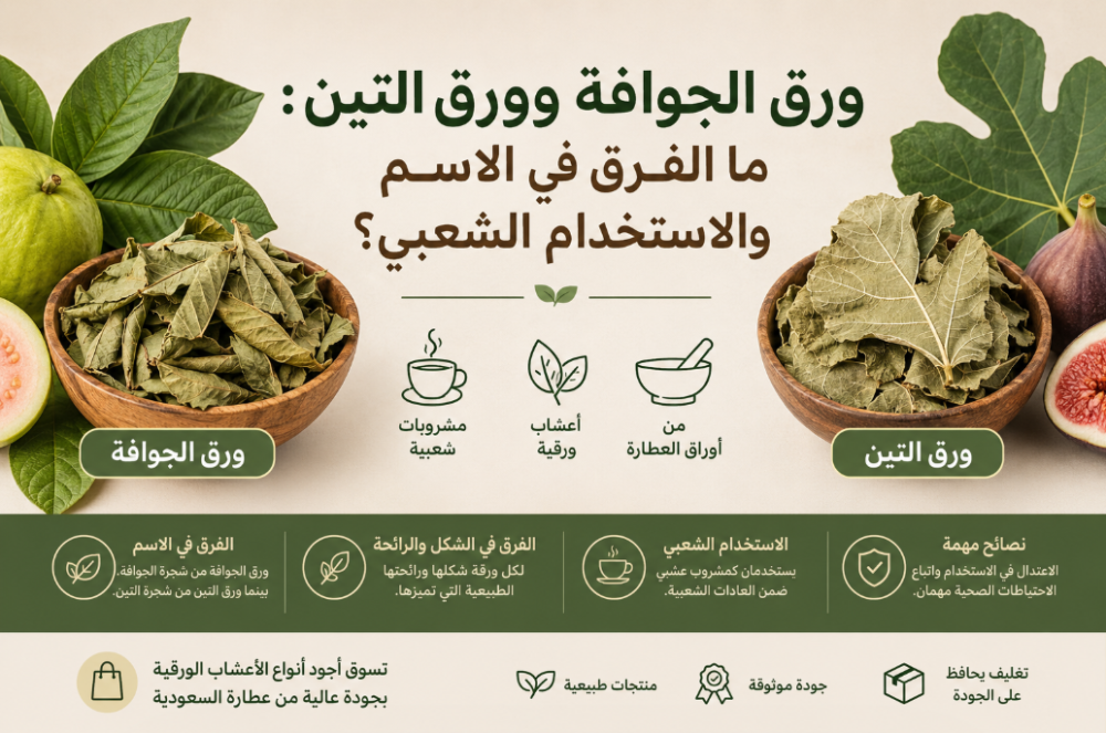 ورق الجوافة وورق التين: ما الفرق في الاسم والاستخدام الشعبي؟