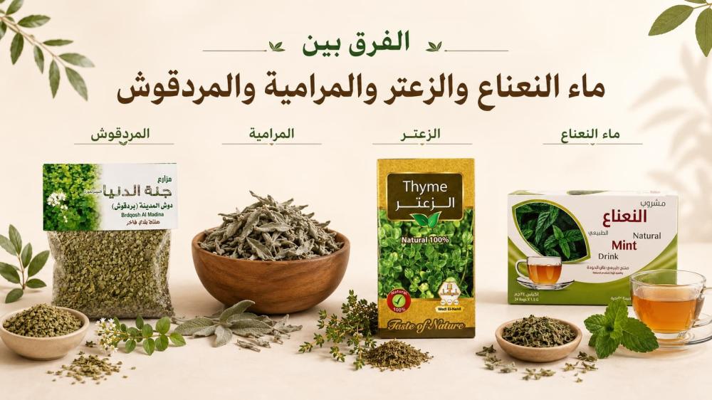 ما الفرق بين ماء النعناع والزعتر والمرامية والمردقوش؟