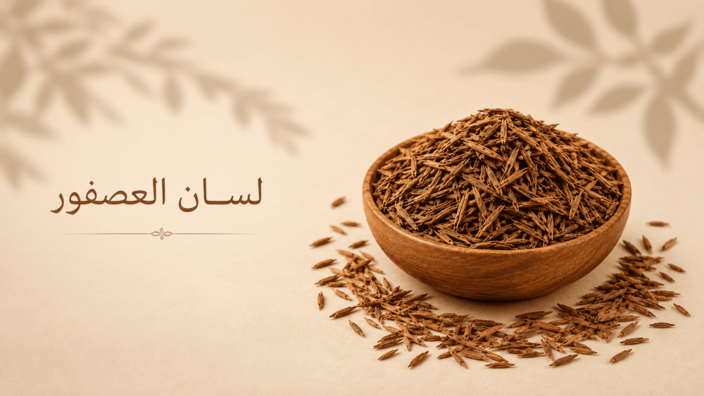 فوائد لسان العصفور للقولون والحامل والرجيم وكمال الأجسام