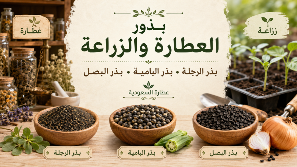 بذور العطارة والزراعة: كيف تفرق بينها؟