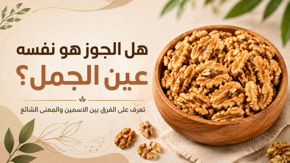 هل الجوز هو نفسه عين الجمل