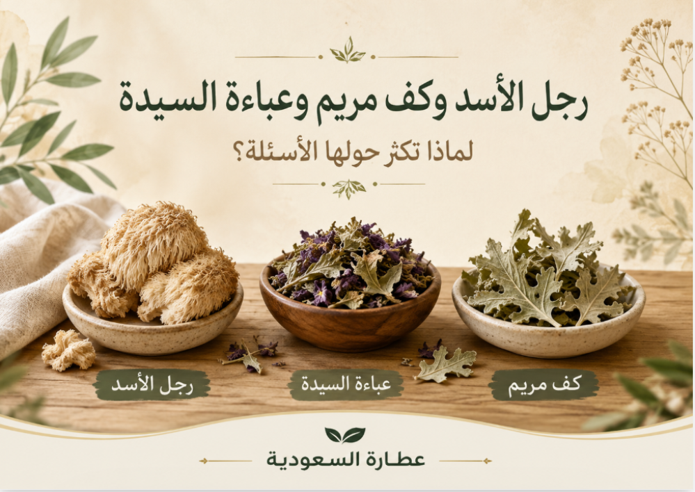 رجل الأسد وعباءة السيدة: لماذا تكثر الأسئلة؟