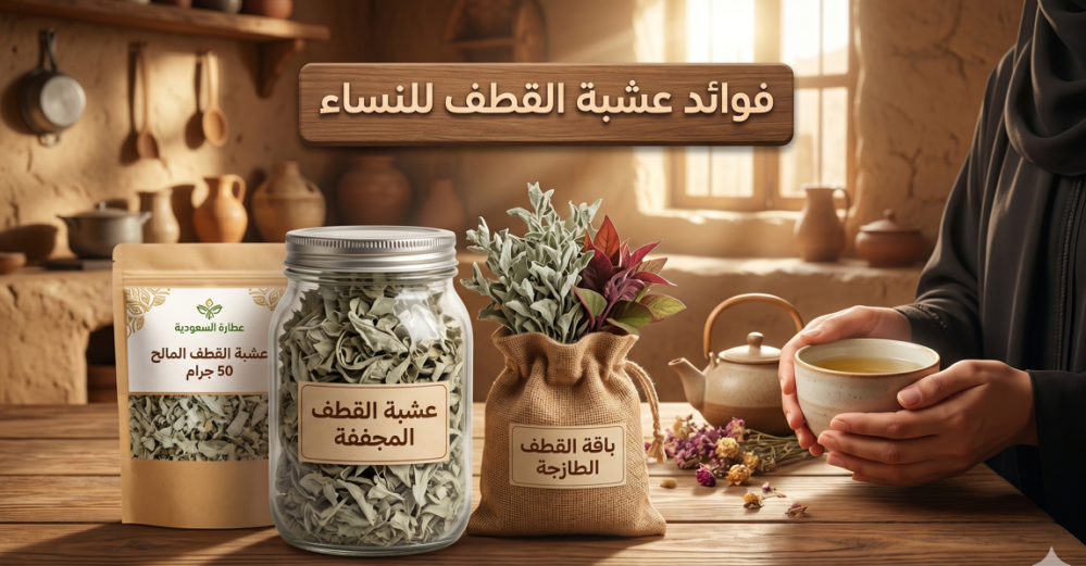 فوائد عشبة القطف للنساء: ما الذي يمكن قوله عمليًا وما الذي لا ينبغي