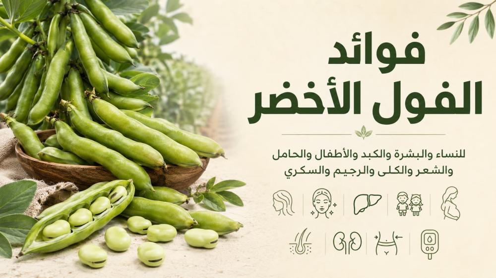 فوائد الفول الأخضر للنساء والبشرة والكبد والأطفال والحامل والشعر