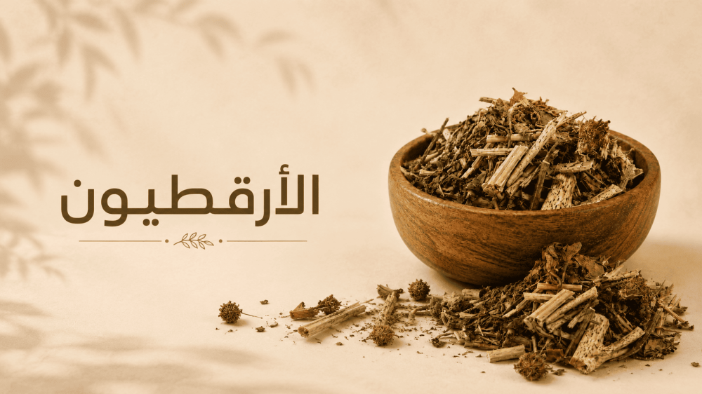 فوائد الأرقطيون للشعر والبشرة: جذور وزيت وشاي وبذور عشبة الأرقطيون