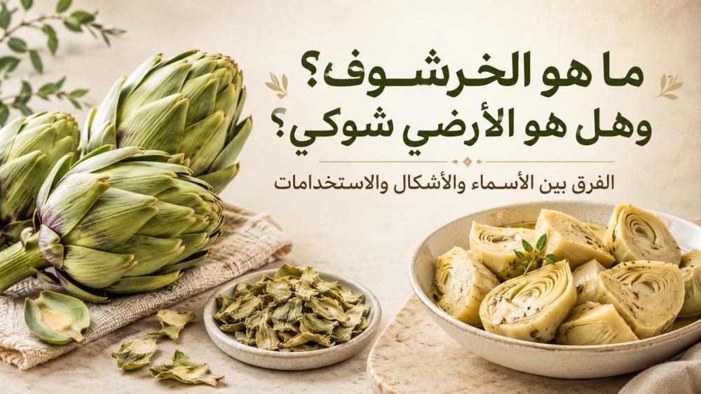 ما هو الخرشوف وهل هو الأرضي شوكي؟