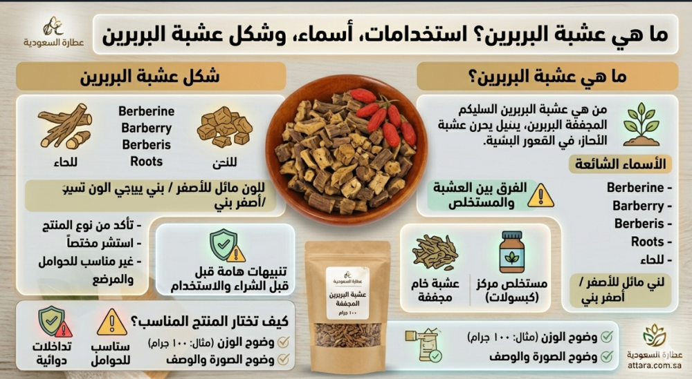 عشبة البربرين: أسماؤها وشكلها وكيف تتعرف عليها
