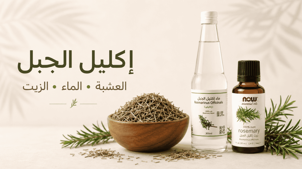 فوائد إكليل الجبل للشعر والنساء والهرمونات والكرش والأعصاب
