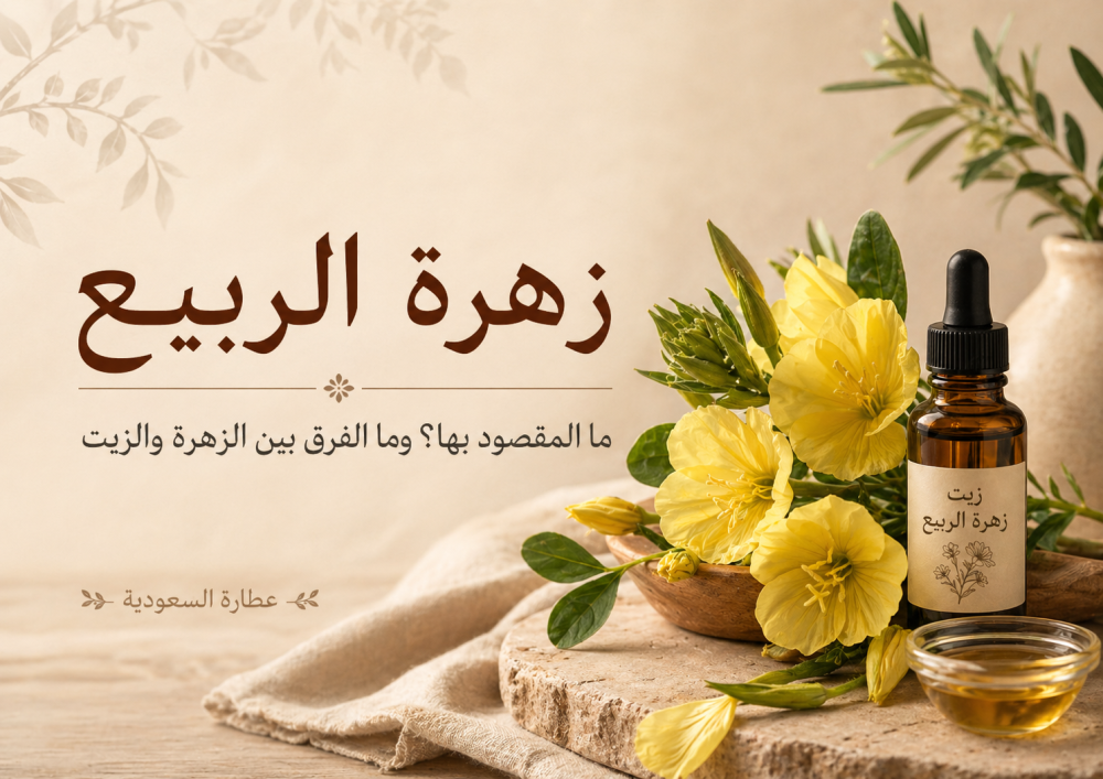 زهرة الربيع: الفرق بين الزهرة والزيت واستخداماته