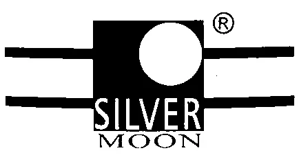 سيلفر مون Silver Moon