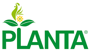 PLANTA