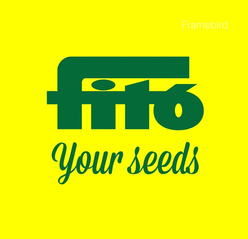 Fito