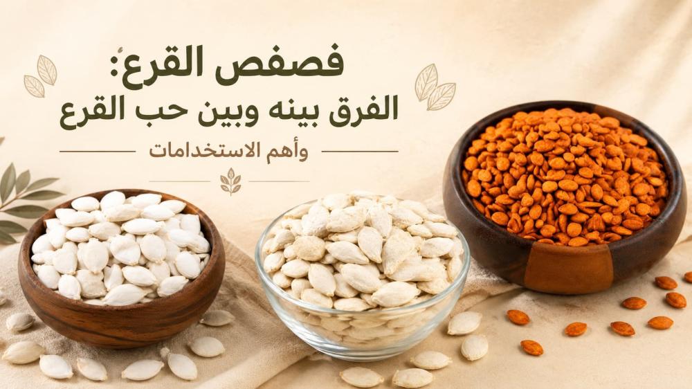 فصفص قرع بقشره مع حب قرع مملح وبذور قرع مقشرة في أطباق تقديم