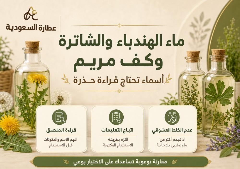 ماء الهندباء والشاترة: قراءة حذرة قبل الاستخدام