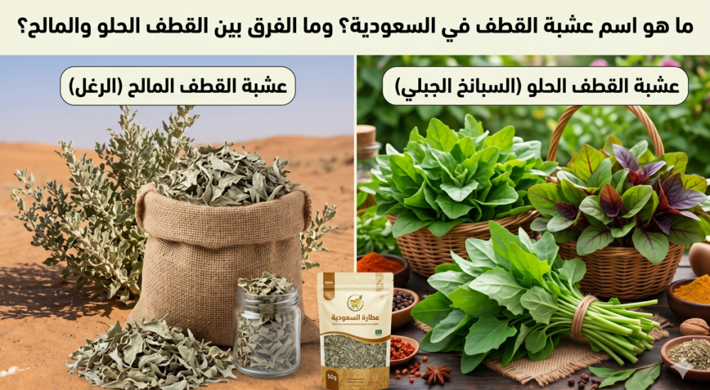 ما هو اسم عشبة القطف في السعودية؟ وما الفرق بين القطف الحلو والمالح؟