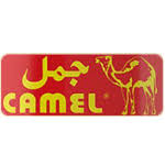 جمل Camel