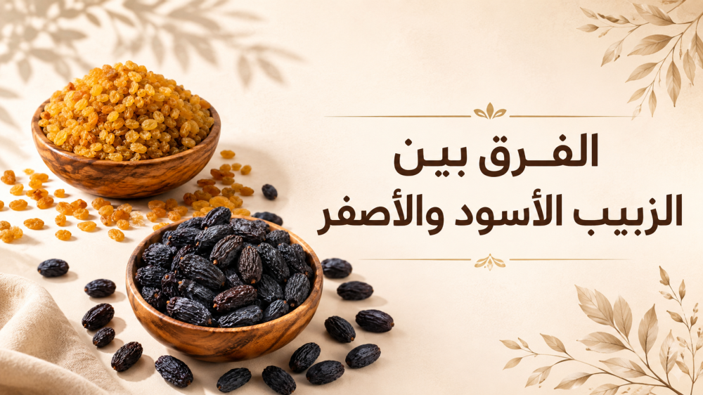 أيهما أفضل الزبيب الأسود أم الأصفر؟ الفرق في الفوائد والقيمة الغذائية