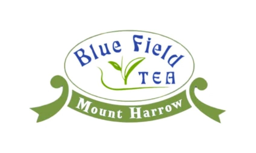 بلو فيلد | Bluefield Tea