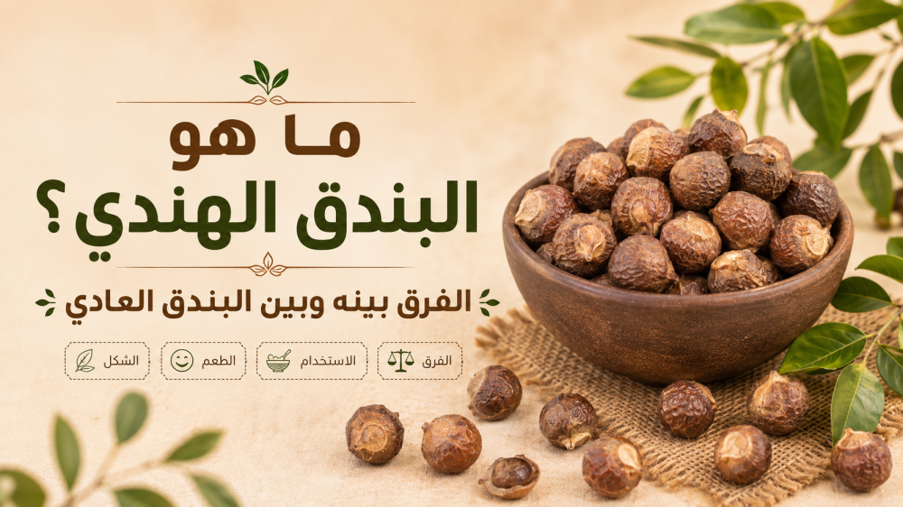 ما هو البندق الهندي؟ والفرق بينه وبين البندق العادي