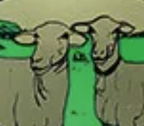 أبو الخروفين