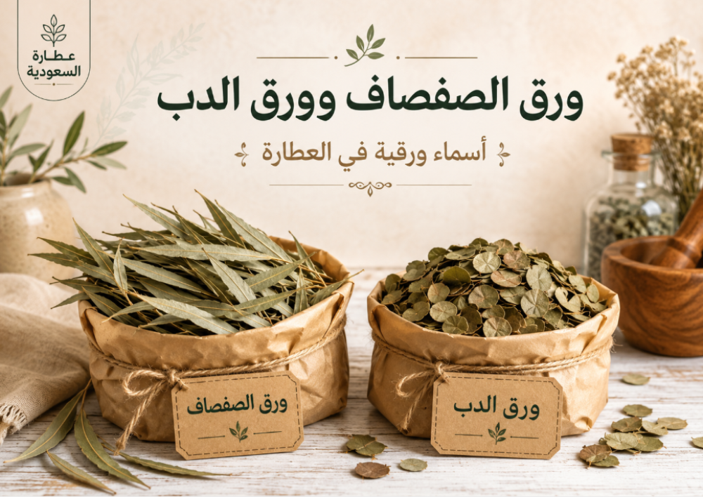 ورق الصفصاف وورق الدب: أسماء ورقية في العطارة