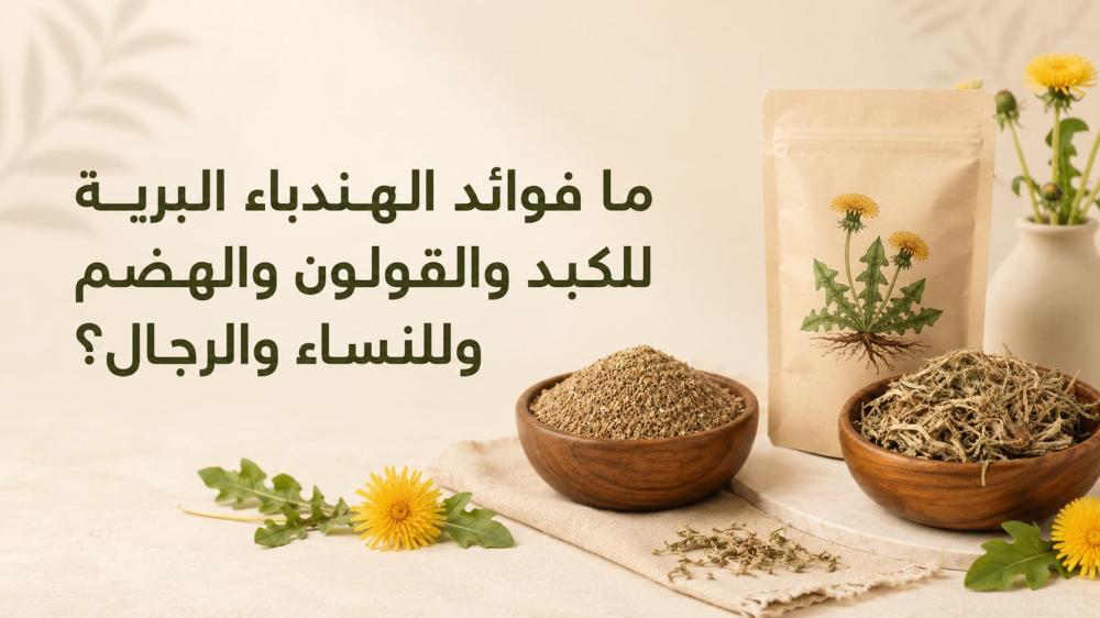 ما فوائد الهندباء البرية للكبد والقولون والهضم وللنساء والرجال؟