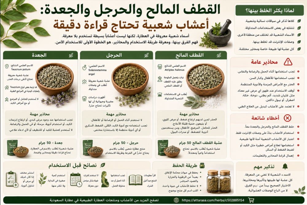 القطف المالح والحرجل: أعشاب شعبية تحتاج حذرًا