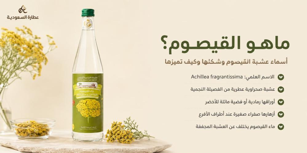 ماهو القيصوم؟ أسماء عشبة القيصوم وشكلها وكيف تميزها