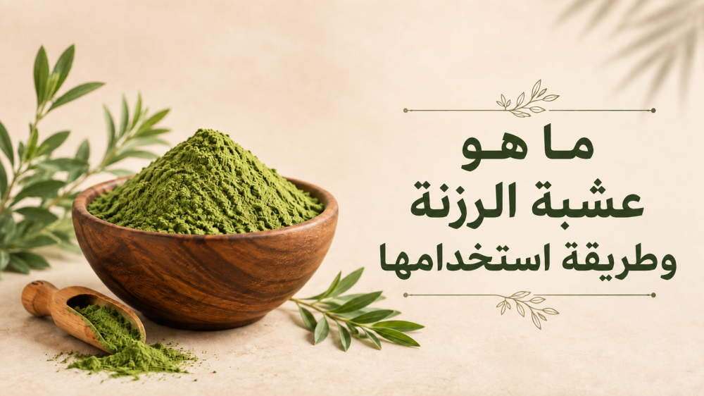 طريقة استخدام عشبة الرزنه وما هي عشبة الرزانة الخضراء؟