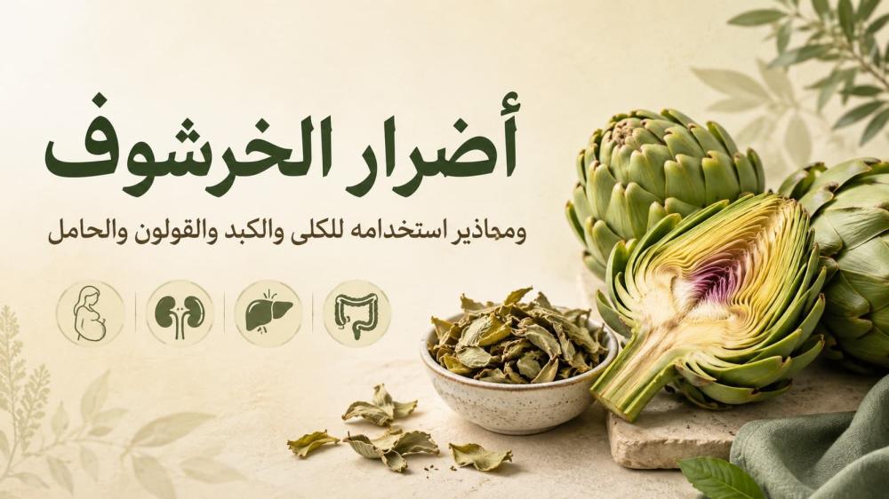 أضرار الخرشوف للكلى والكبد والقولون والحامل