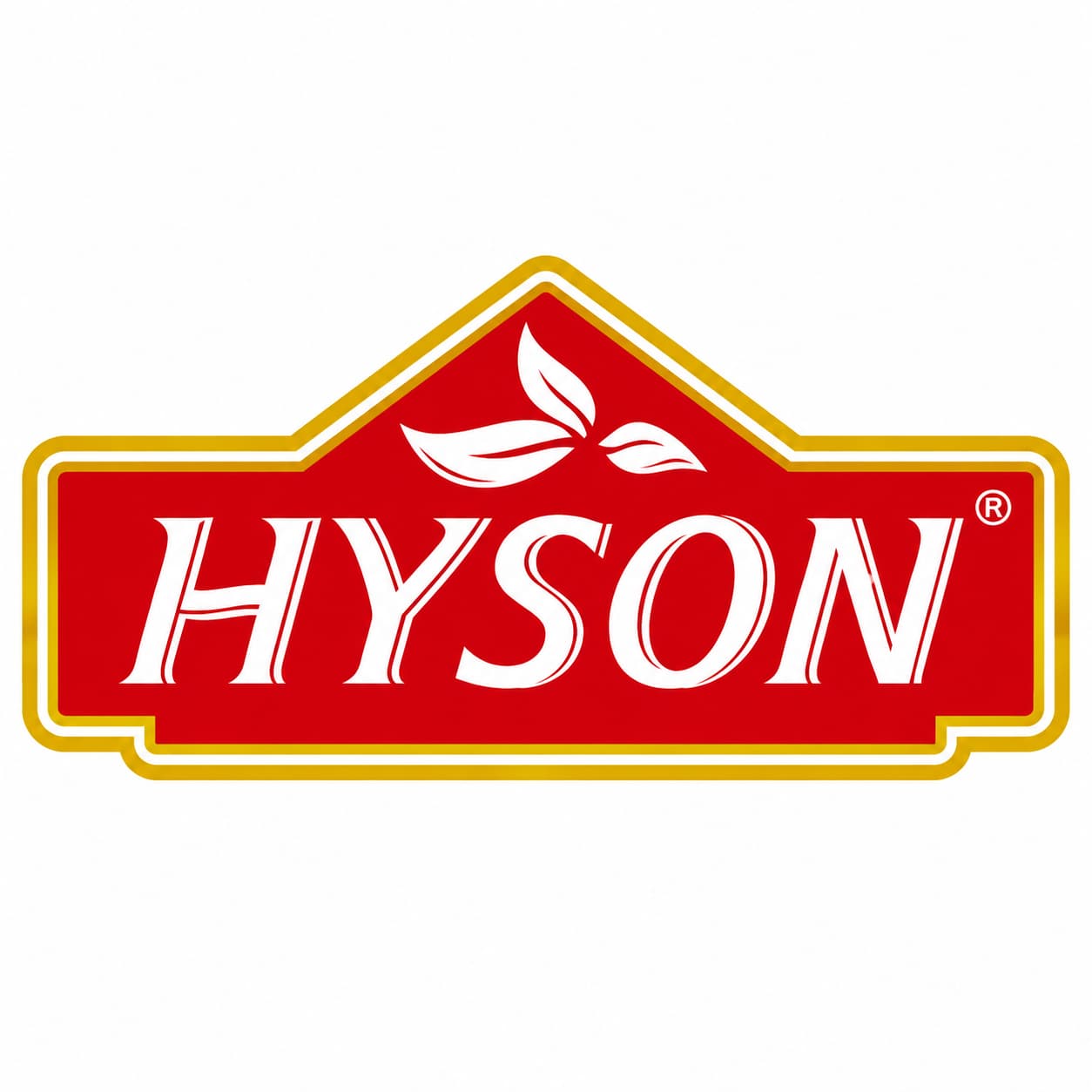 هايسون | HYSON